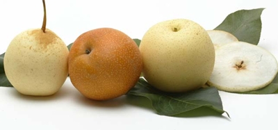 Asian-Pear